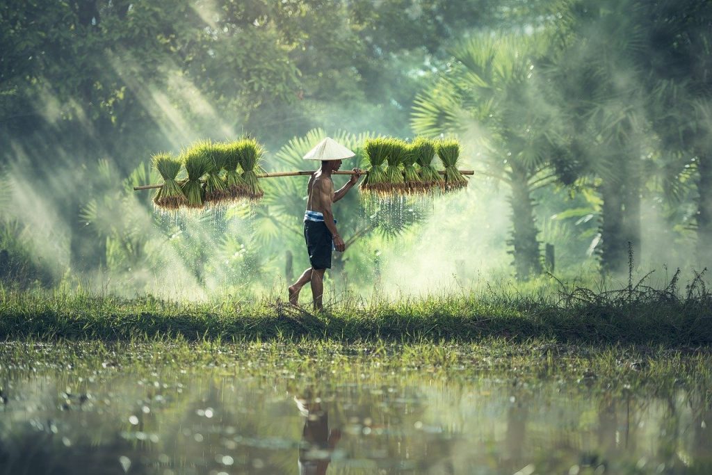 Pourquoi voyager au Cambodge?