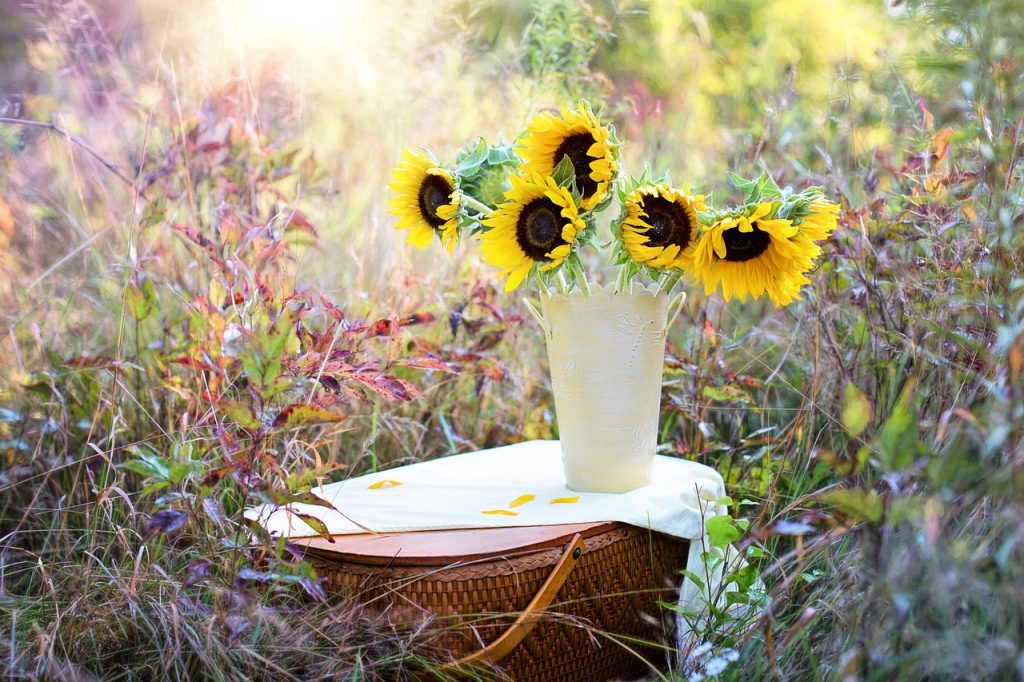 choisir fleurs