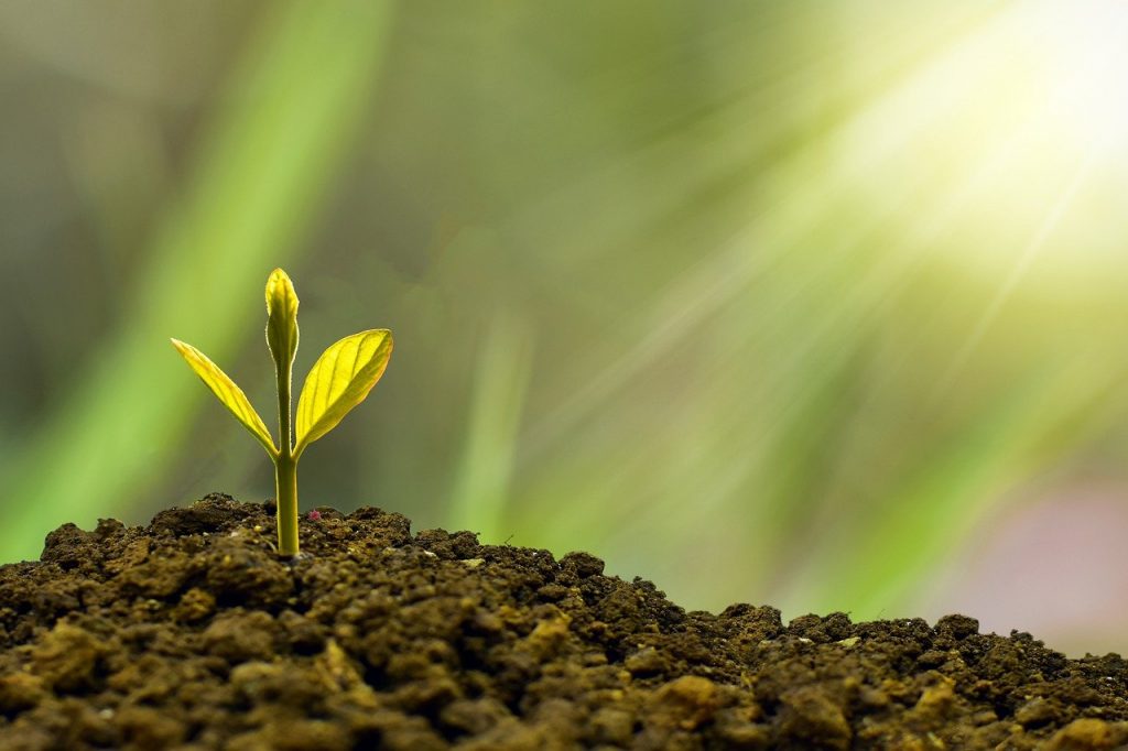 Comment investir et gagner de l'argent?