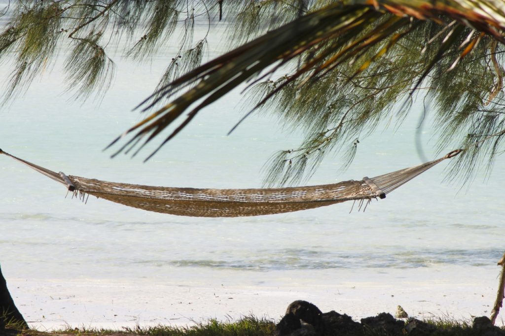 Séjour à Zanzibar : quelles expériences faire?