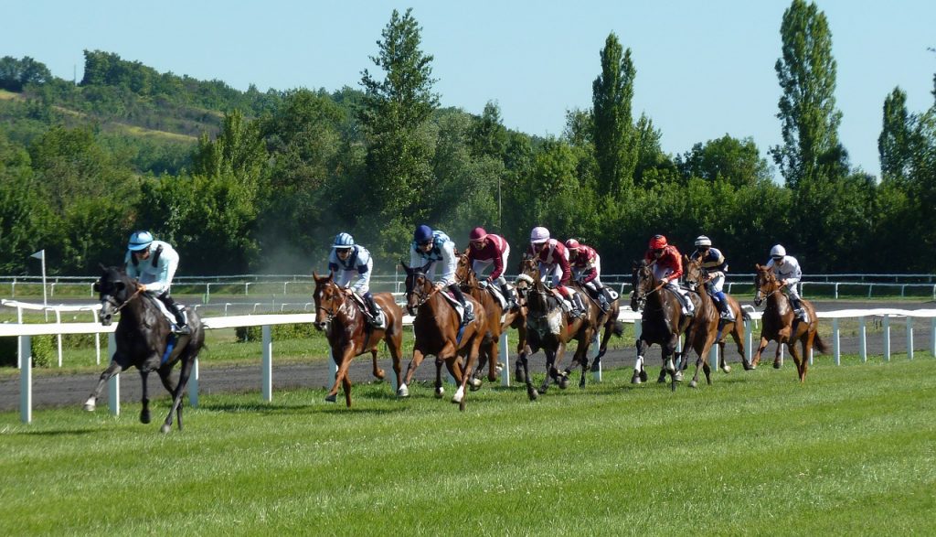 Turf : quel pronostic pour le quinté du jour?